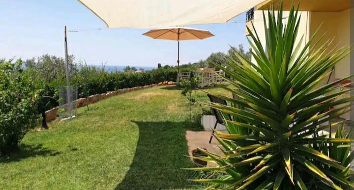 Panorama Olive Garden Apartment Makri Exterior photo